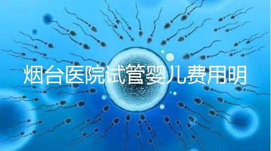 煙臺(tái)醫(yī)院試管嬰兒費(fèi)用明細(xì)，各流程都要花多少錢心中有數(shù)