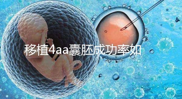 移植4aa囊胚成功率如何？細說質量等級讓你助孕更安心