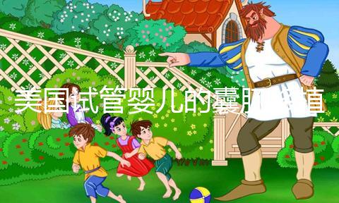 美國(guó)試管嬰兒的囊胚移植成功率