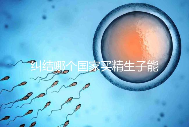 糾結哪個國家買精生子能看照片快收藏！血型、身高可了解