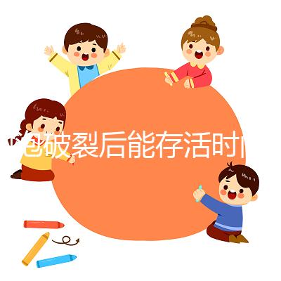 卵泡破裂后能存活時間是多久？別以為24小時就是極限