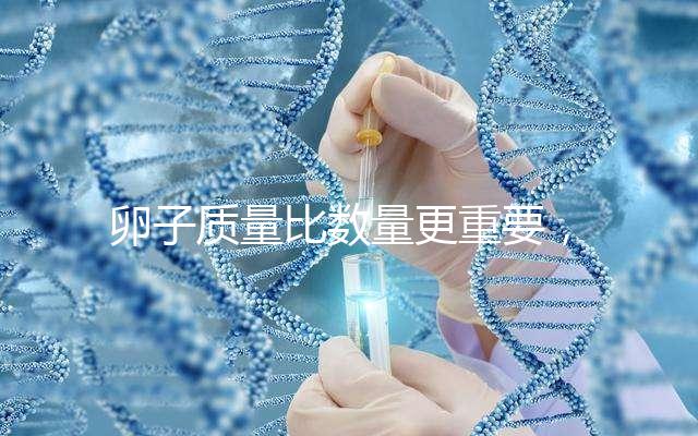 卵子質量比數量更重要，9個卵泡生男孩也很難