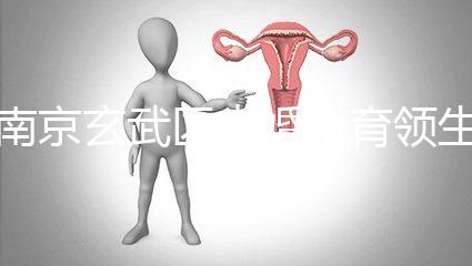 南京玄武區未婚生育領生育金看條件，社會撫養費交不了多少