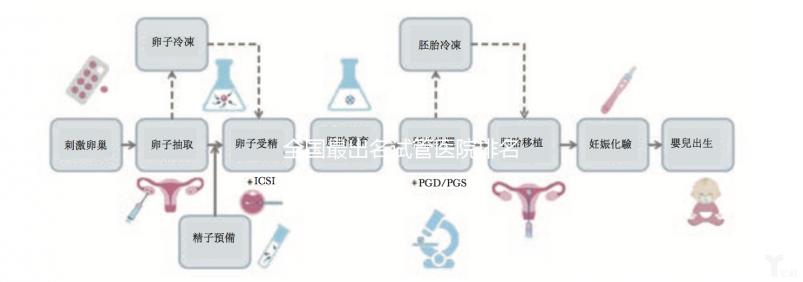 全國最出名試管醫(yī)院排名前5,內(nèi)附試管費用及成功率一覽