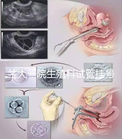 蘭大一院生殖科試管掛號多少錢別還不造，預約攻略來了