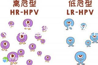 做供精試管嬰兒的準備（供精試管嬰兒大概需要多少錢）