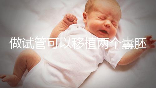 做試管可以移植兩個(gè)囊胚嗎?