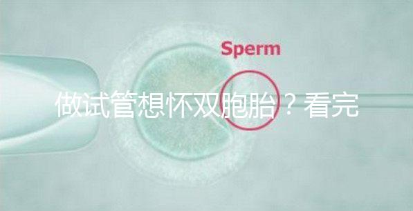 做試管想懷雙胞胎？看完這篇文章再決定