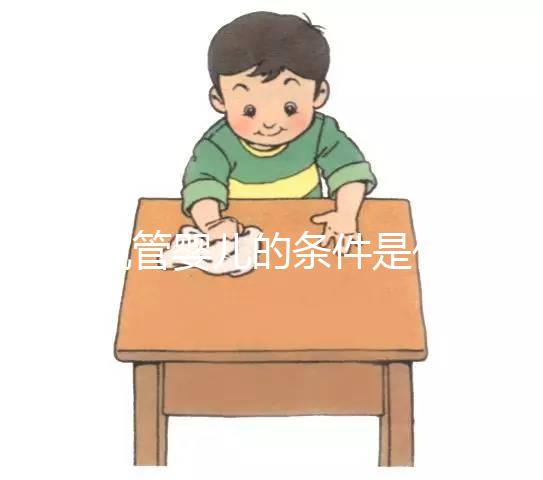 做試管嬰兒的條件是什么？