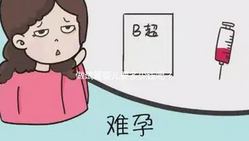 做試管嬰兒要多少錢呢？