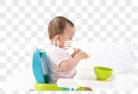 做試管嬰兒費用大約多少錢？