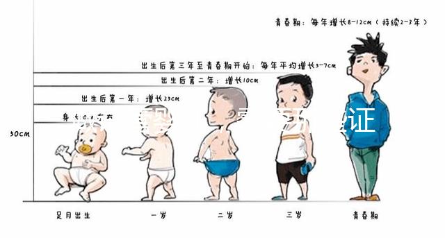 做試管嬰兒，需要那些證件