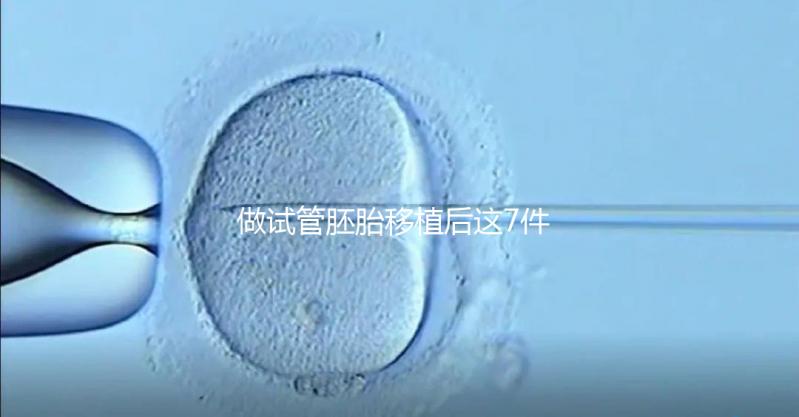 做試管胚胎移植后這7件事做錯(cuò)，小心胚胎流掉！