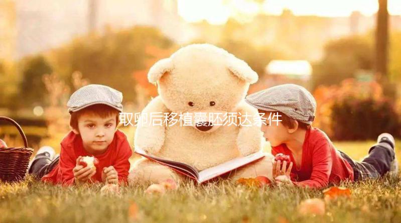 取卵后移植囊胚須達(dá)條件！至少要達(dá)到這3個(gè)標(biāo)準(zhǔn)