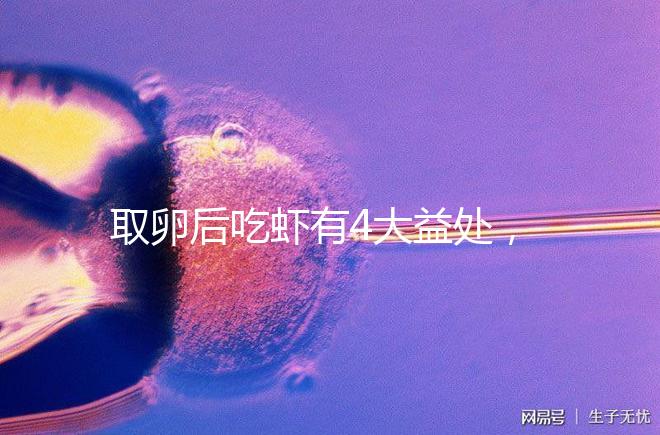 取卵后吃蝦有4大益處，且聽(tīng)本文娓娓道來(lái)！