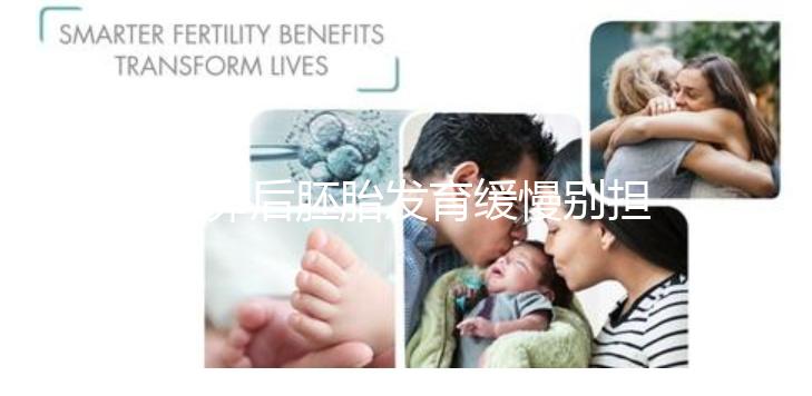 取卵后胚胎發(fā)育緩慢別擔(dān)心！這么做試管成功率翻倍