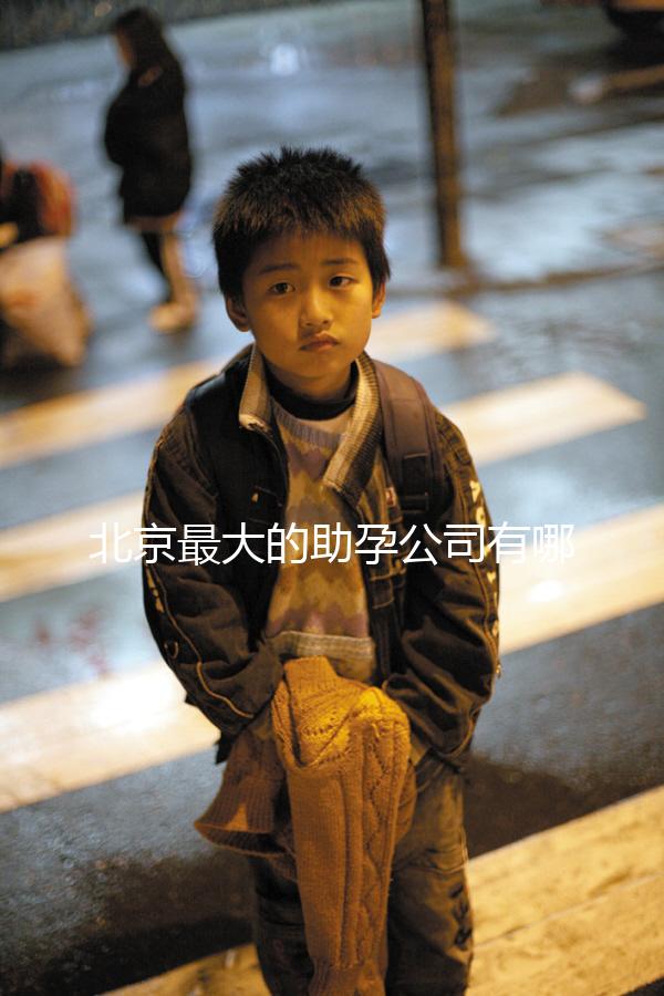 北京最大的助孕公司有哪些，是合法的嗎？