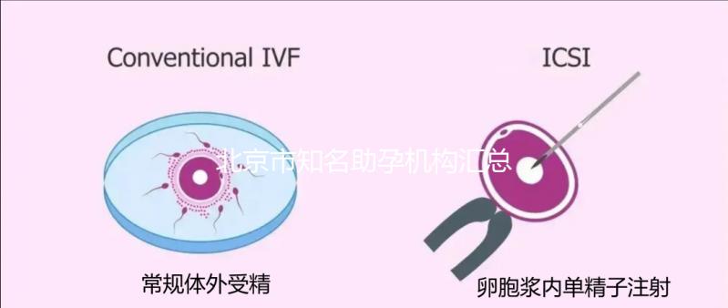 北京市知名助孕機構匯總，成功率多少一看便知！