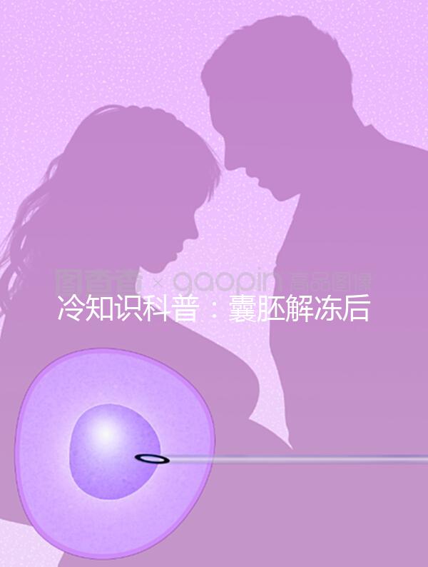 冷知識(shí)科普:囊胚解凍后升級的原因有這些