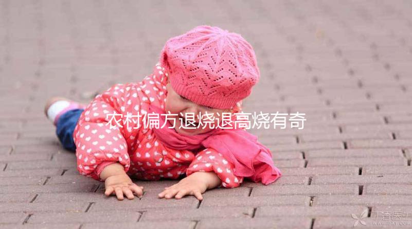 農村偏方退燒退高燒有奇效，路邊常見退燒草別還不認識