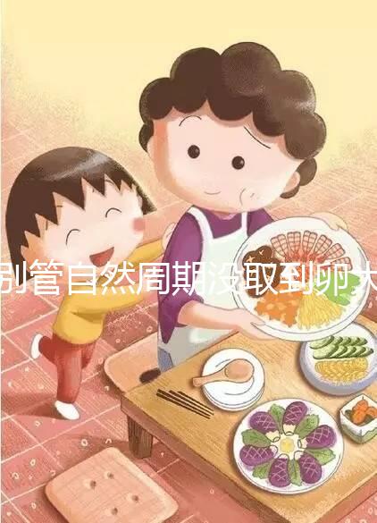 別管自然周期沒(méi)取到卵大夫當(dāng)時(shí)會(huì)不會(huì)說(shuō)了，沒(méi)通知這么辦