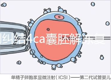別糾結4ca囊胚解凍復蘇最早幾天能測出了,著床率先了解下