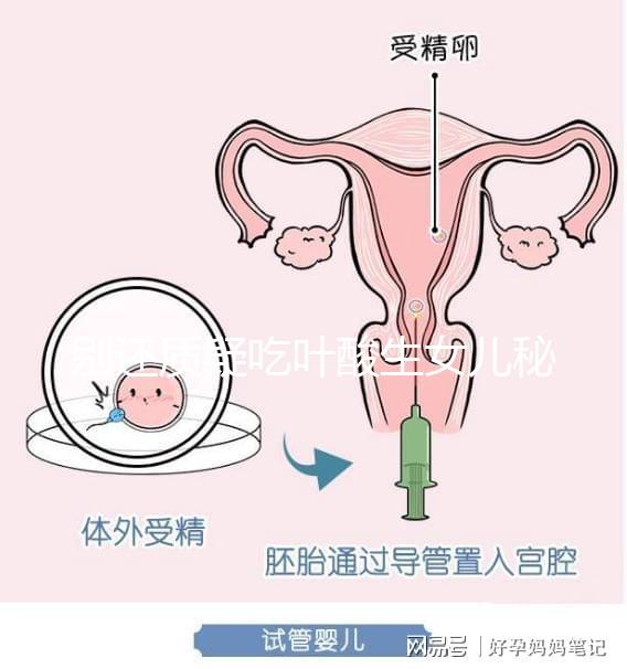 別還質(zhì)疑吃葉酸生女兒秘方真假了,概率多高進來一看便知