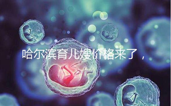 哈爾濱育兒嫂價格來了，公司排行榜top1多少錢看完了解