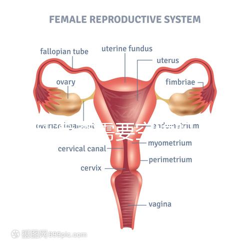 唐氏篩查需要空腹嗎，無錫醫院單項費用最低一百八十五