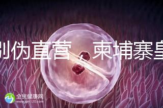 告別偽直營，柬埔寨皇家生殖遺傳醫(yī)院RFG中國辦事處指南