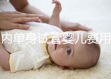 國內(nèi)單身試管嬰兒費(fèi)用大概要多少錢一次？附費(fèi)用明細(xì)！