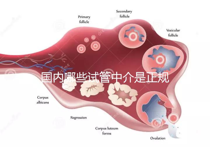 國內(nèi)哪些試管中介是正規(guī)的看過來，可不止北京百匯這一家