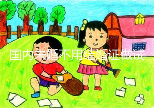 國內(nèi)未婚不用結(jié)婚證做試管機(jī)構(gòu)都有哪些？