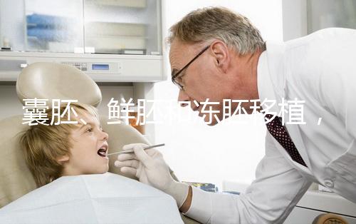 囊胚、鮮胚和凍胚移植，哪一種移植成功率更高？