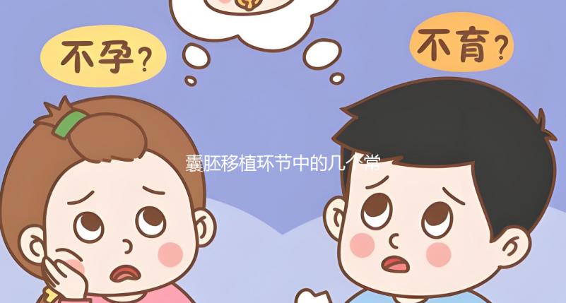 囊胚移植環(huán)節(jié)中的幾個常見問題解析