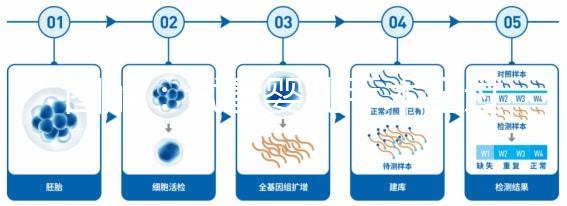 圖解：試管嬰兒手術(shù)全過(guò)程