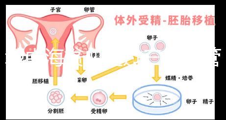 地中海貧血通過三代試管嬰兒真的可以生出健康的孩子嗎？