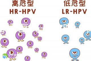 體育場每天開放嗎（體育場每天開放嗎現(xiàn)在）