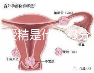 人工授精是什么?3分鐘讀完這篇文章，解答你所有疑問(wèn)