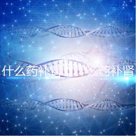 什么藥補腎（什么藥補腎壯陽效果最好）