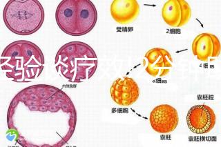 以經(jīng)驗談療效!2分鐘助你了解30歲女性不排卵能否治好