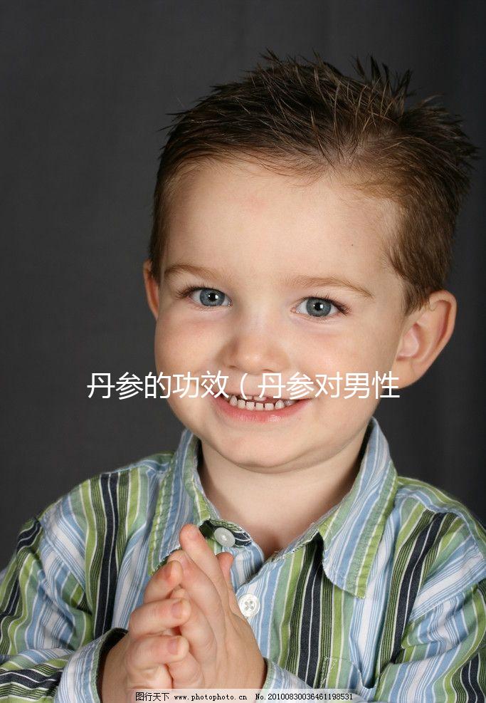 丹參的功效（丹參對(duì)男性性功能影響）