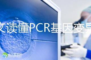 一文讀懂PCR基因變異報告，解讀高通量測序染色體檢查