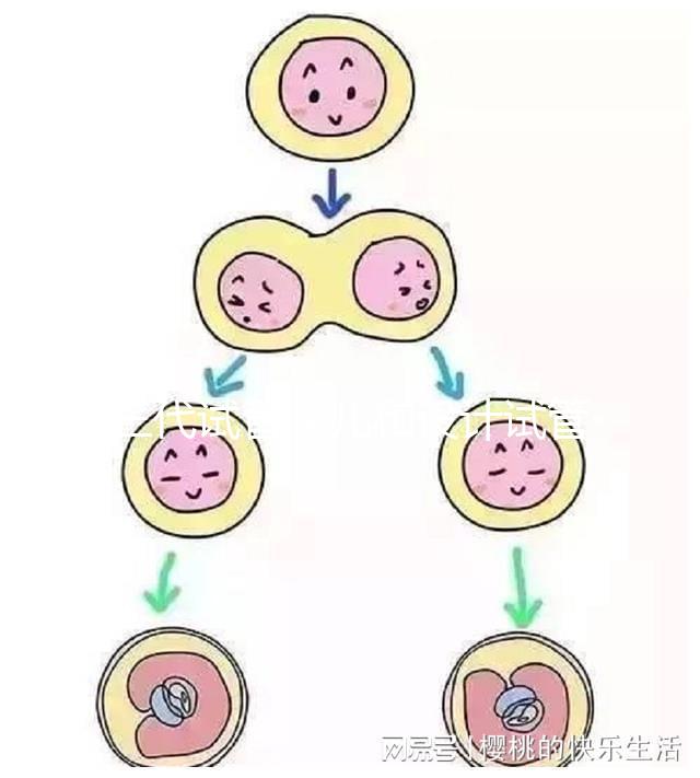 三代試管嬰兒和設(shè)計試管嬰兒一樣嗎？