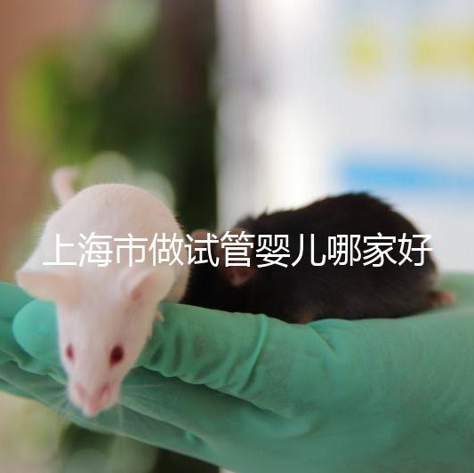 上海市做試管嬰兒哪家好？2025年權威醫院排名與成功率詳細對比