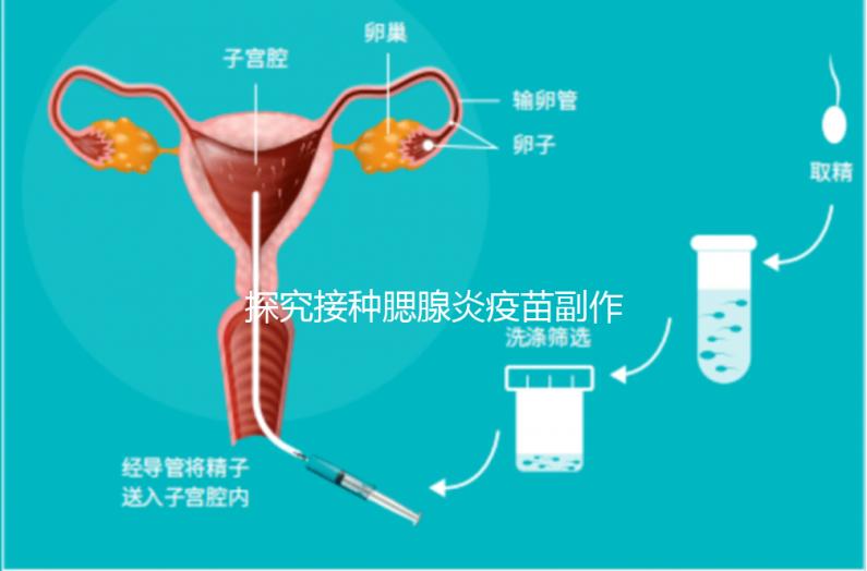 探究接種腮腺炎疫苗副作用，出現發燒用這3招應對自如