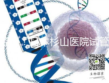 驚訝！日本杉山醫院試管嬰兒成功率和泰國持平