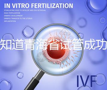 想知道青海省試管成功率多高看過(guò)來(lái)，助孕案例幫你揭開謎團(tuán)