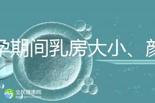 懷孕期間乳房大小、顏色變化有區別，男寶女寶這樣看