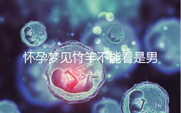 懷孕夢(mèng)見竹竿不能看是男孩or女孩，解讀胎夢(mèng)預(yù)兆別太主觀